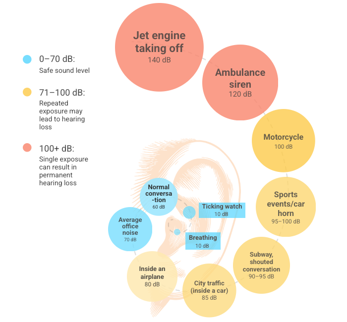 Bron  “Noise-Induced Hearing Loss,” Nirvikalpa Natarajan, et al., Journal of Clinical Medicine, 2023 Image (Illustratie door The Epoch Times, Shutterstock)